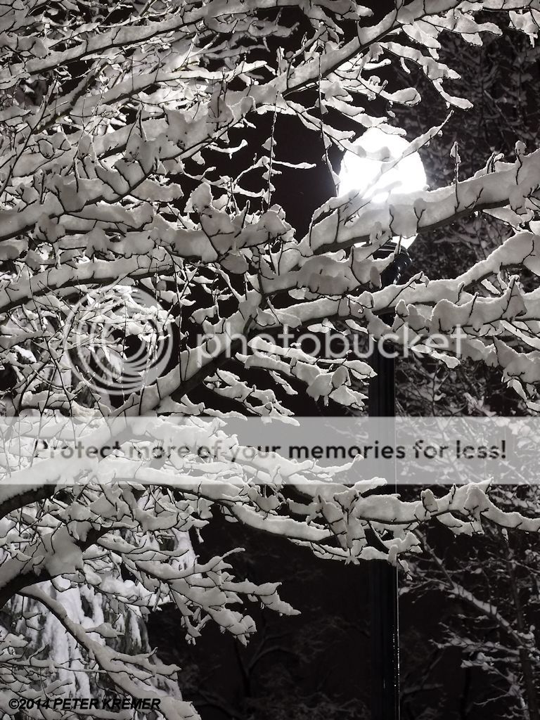 ▲ AP ● ISO 3200 ● 80mm EFL ● f/4.5 ● ±0 EV ● 1/40"