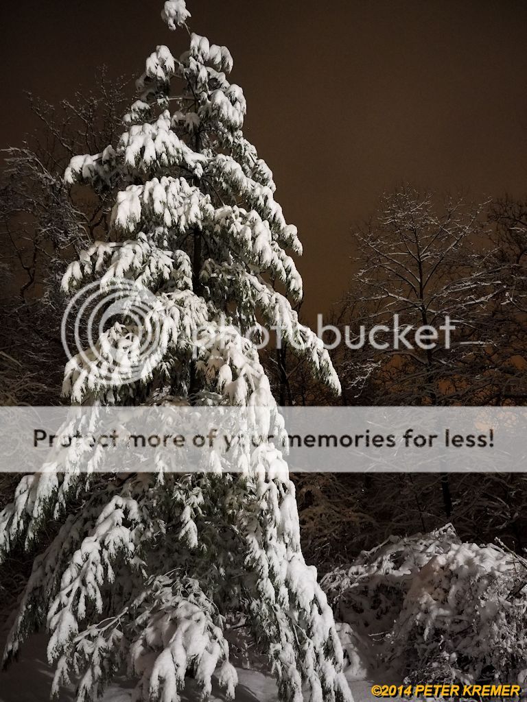 ▲ AP ● ISO 4000 ● 24mm EFL ● f/3.2 ● ±0 EV ● 1/30"