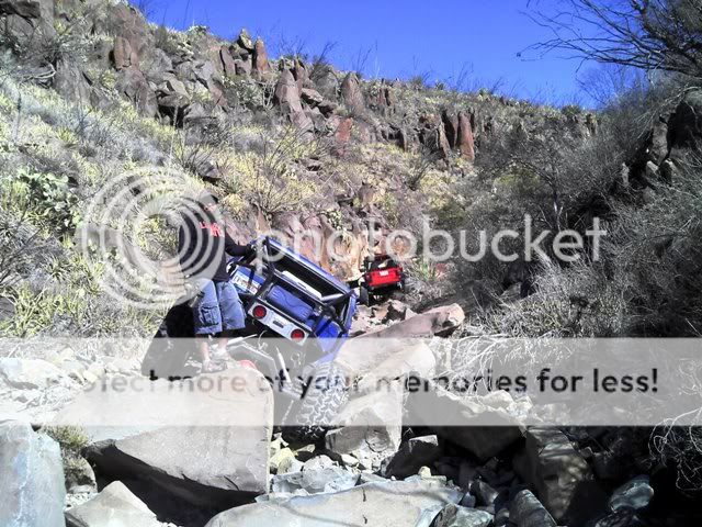Posted Image