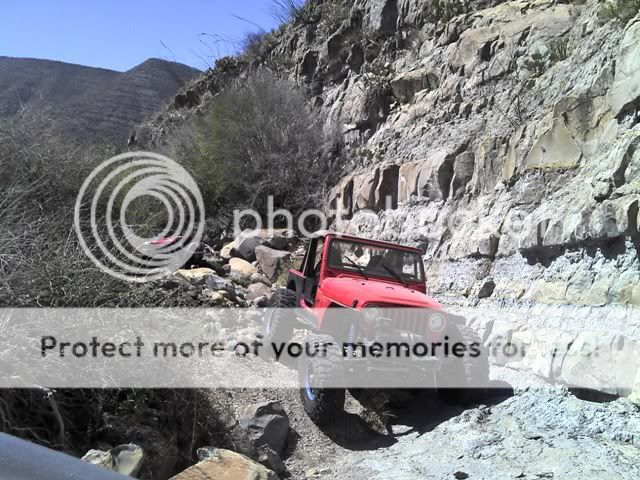 Posted Image