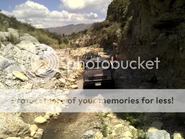 Posted Image