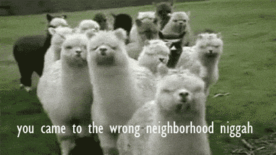 photo tumblr_m541oucNOK1qh8nod_large_zps6bf8a609.gif