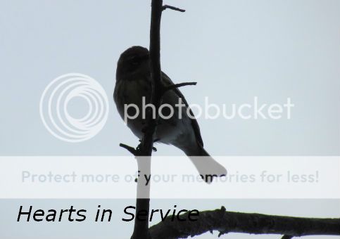 IMG_8085