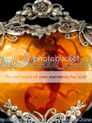 q19A_a.jpg picture by zone_123