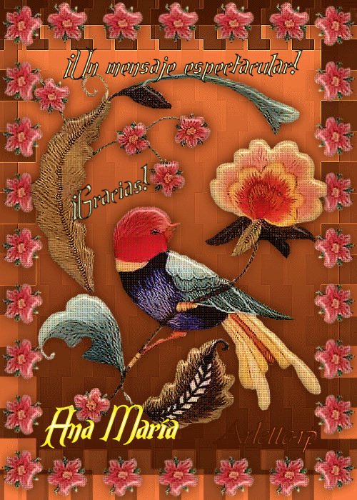 gaci photo ANIMAGRACIASGRACIC1_zps27c82adf.gif