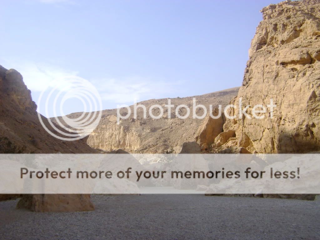 Posted Image
