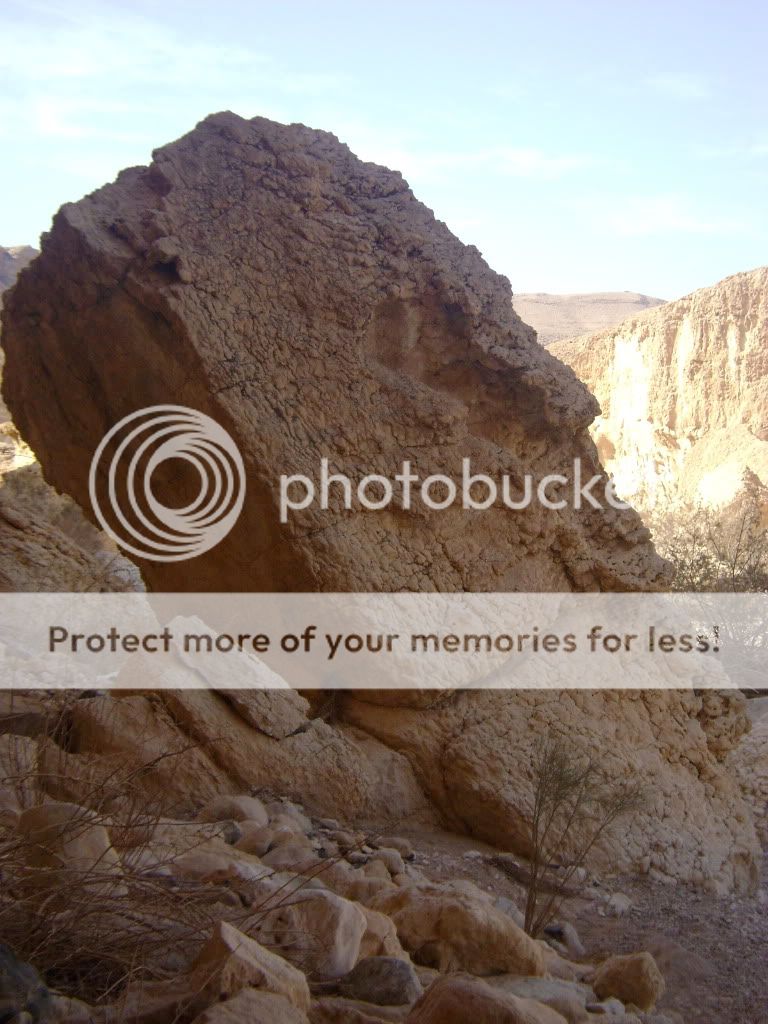 Posted Image