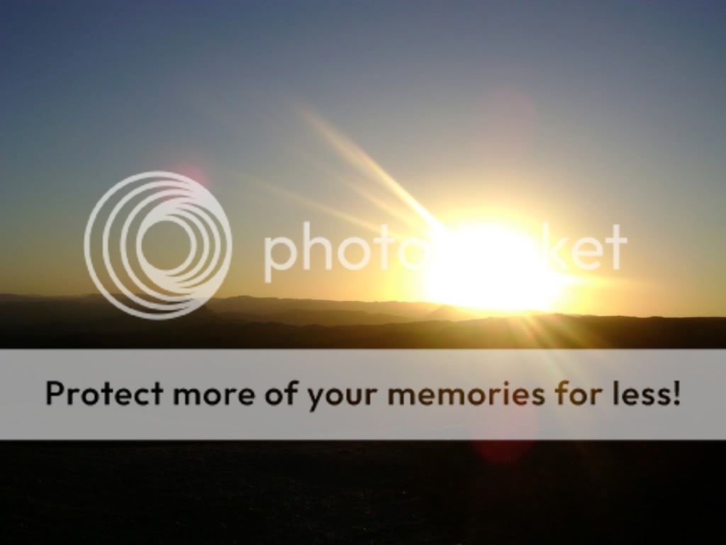 Posted Image