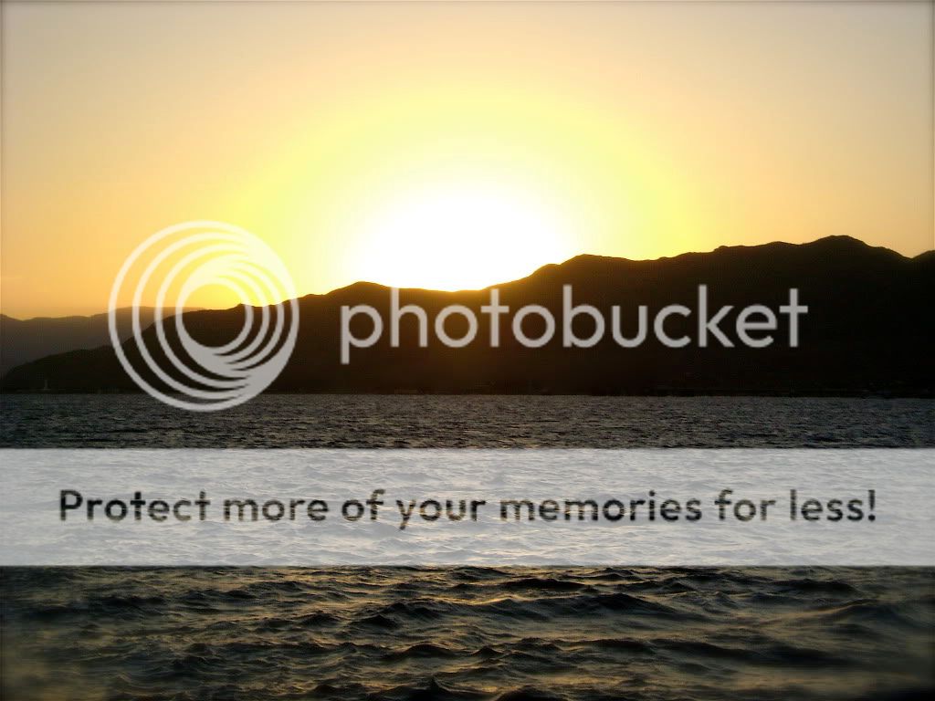 Posted Image