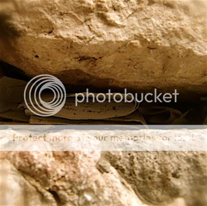 Posted Image