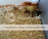 th_P6260339.jpg